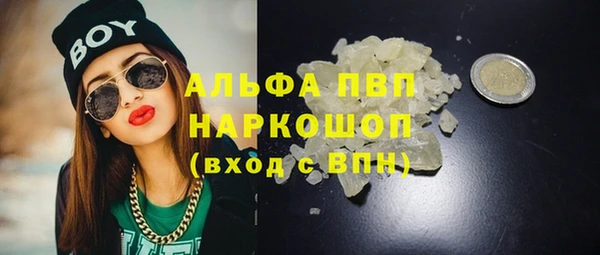 PSILOCYBIN Няндома