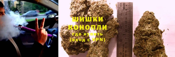 PSILOCYBIN Няндома
